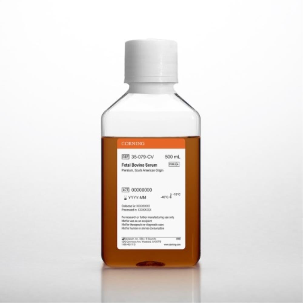 South American FBS Serum 500ml | 35-079-CV | CORNING | SLS