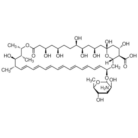 a9528-50mg Display Image